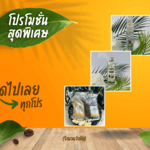 โปรโมชั่น (10)