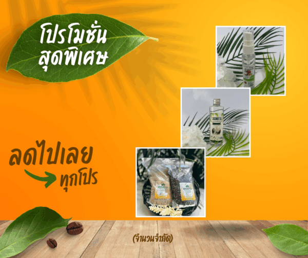 🌴 ชุดสุขภาพดีจากธรรมชาติ 💪