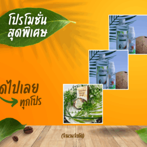 โปรโมชั่น (11)