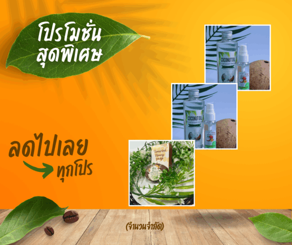 🌿✨ โปรโมชั่นพิเศษ!