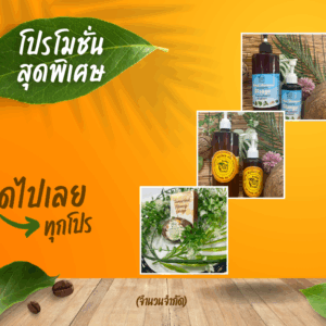 โปรโมชั่น (12)