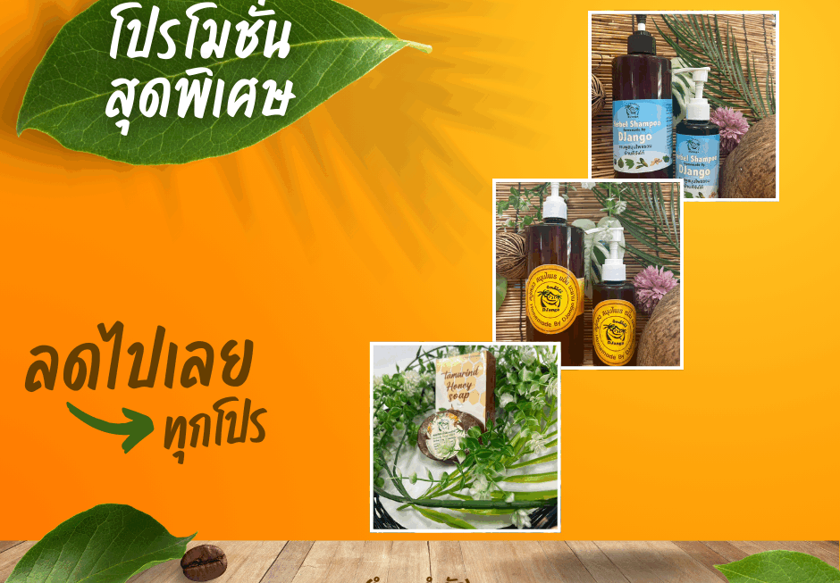 โปรโมชั่น
