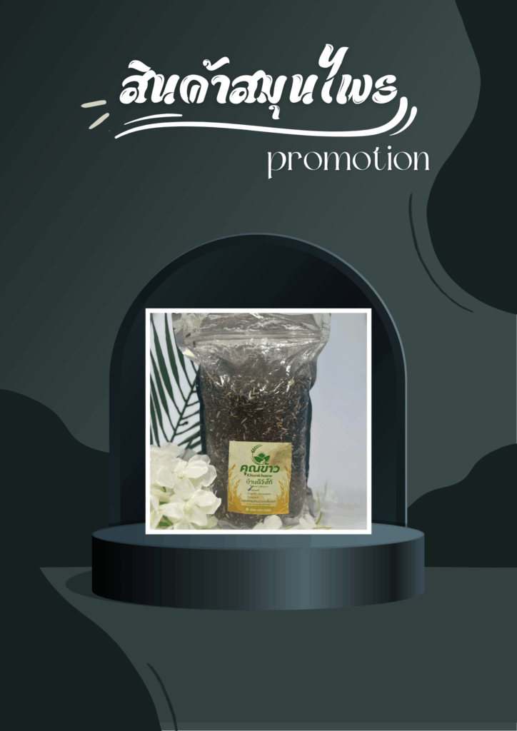 โปรโมชั่น