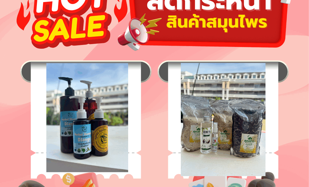 โปรโมชั่น(12)