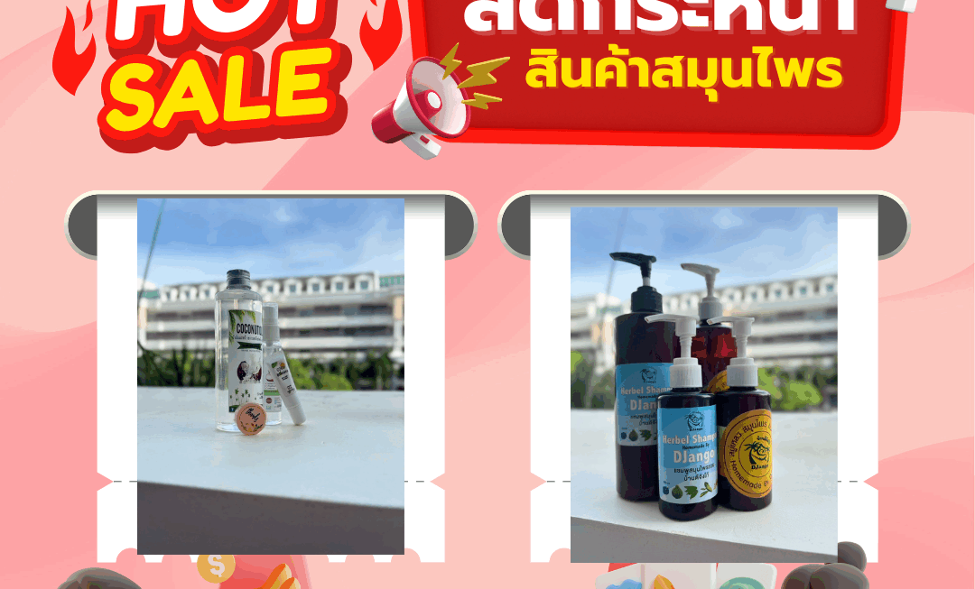 โปรโมชั่น(17)