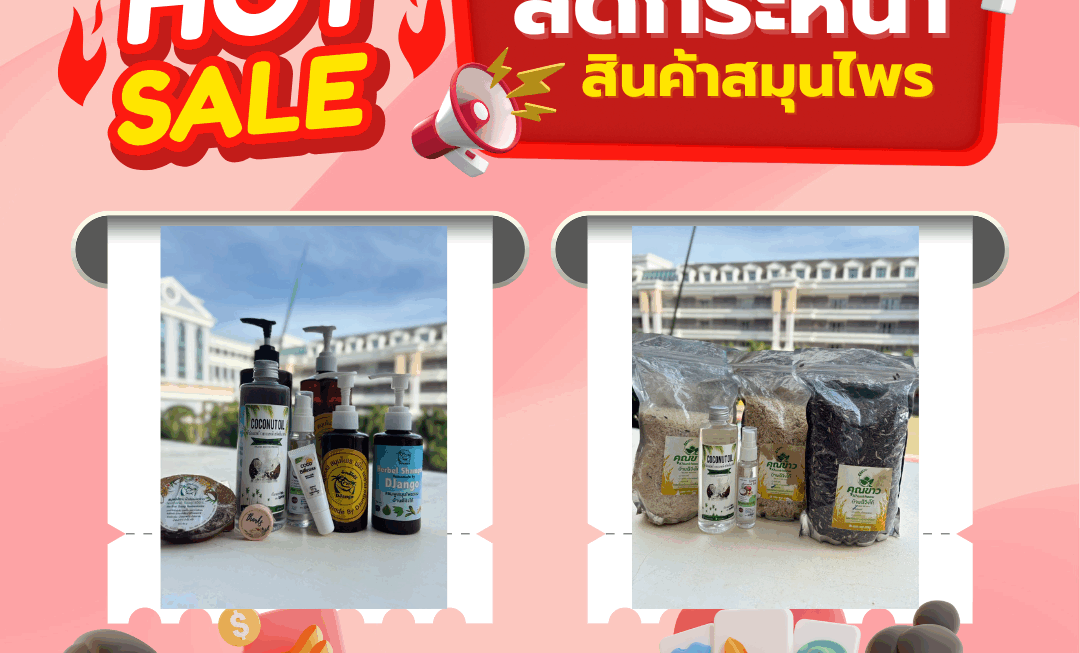 โปรโมชั่น(2)