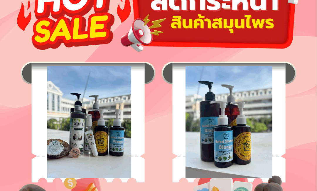 โปรโมชั่น(3)
