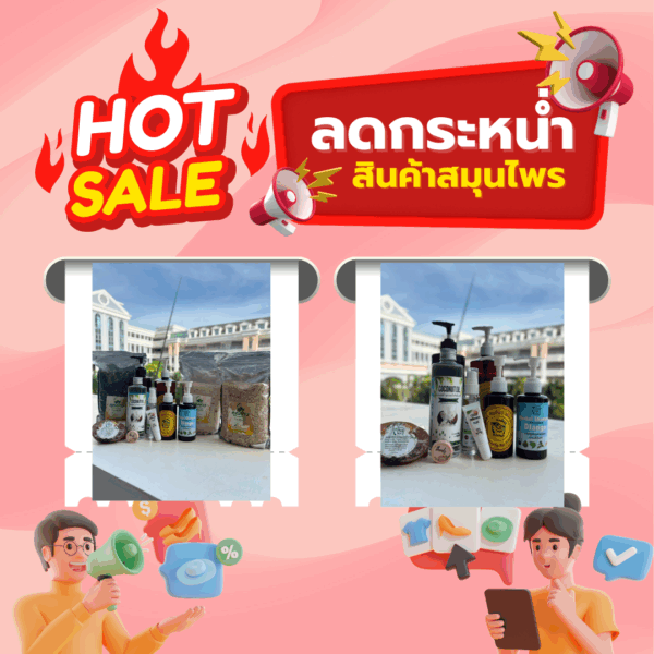 ✨โปรโมชั่นสุดพรีเมี่ยม